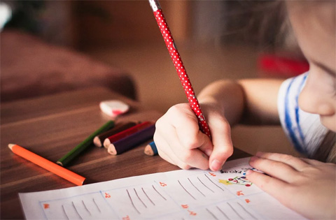 education